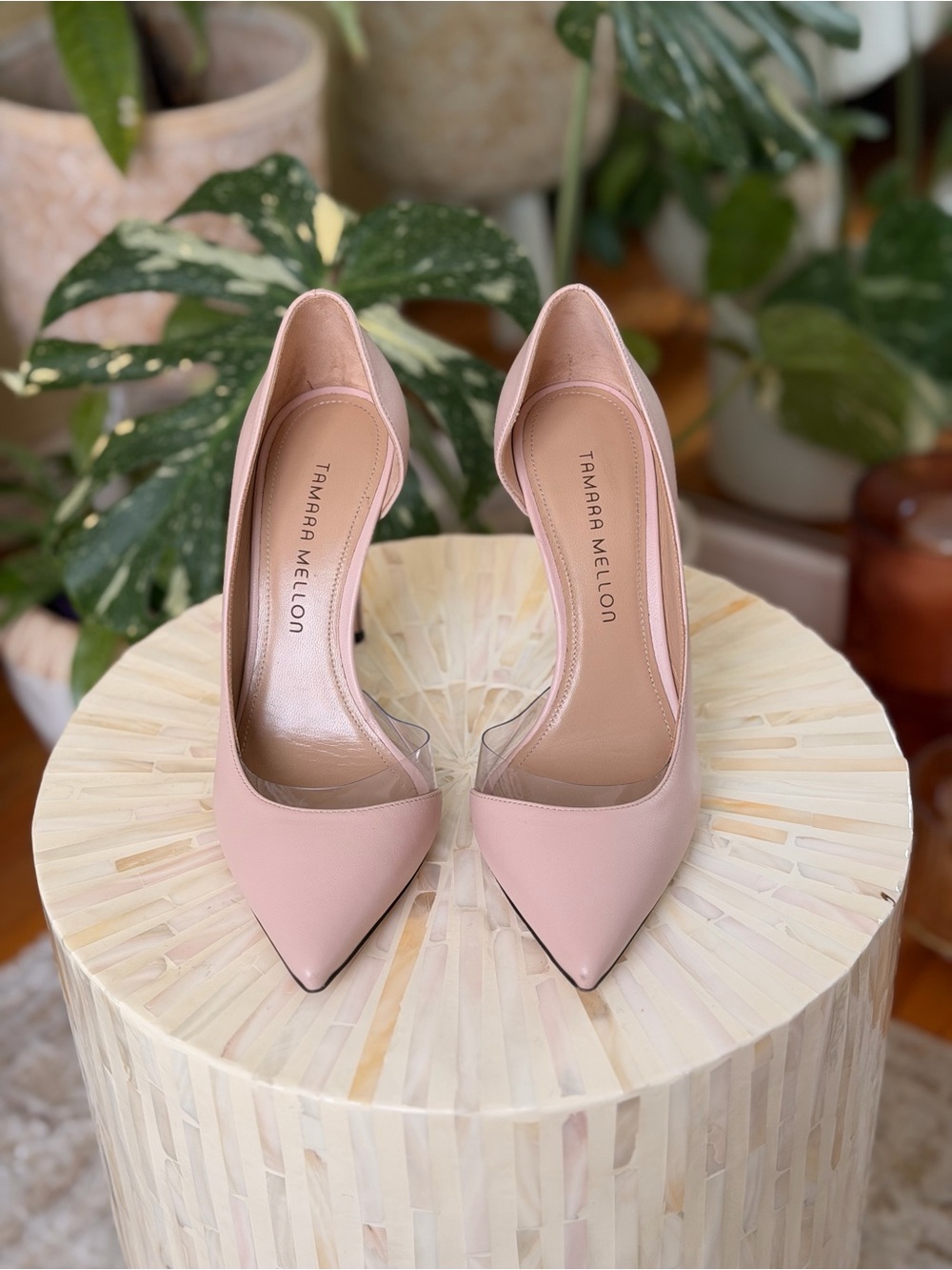 Tamara Mellon Blush Pink Pointed Toe Pumps with Clear Sides